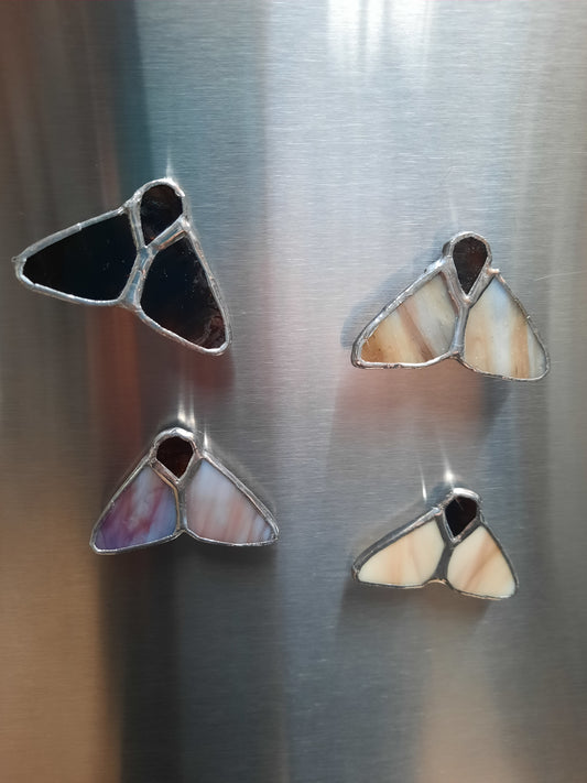 Moth Magnets