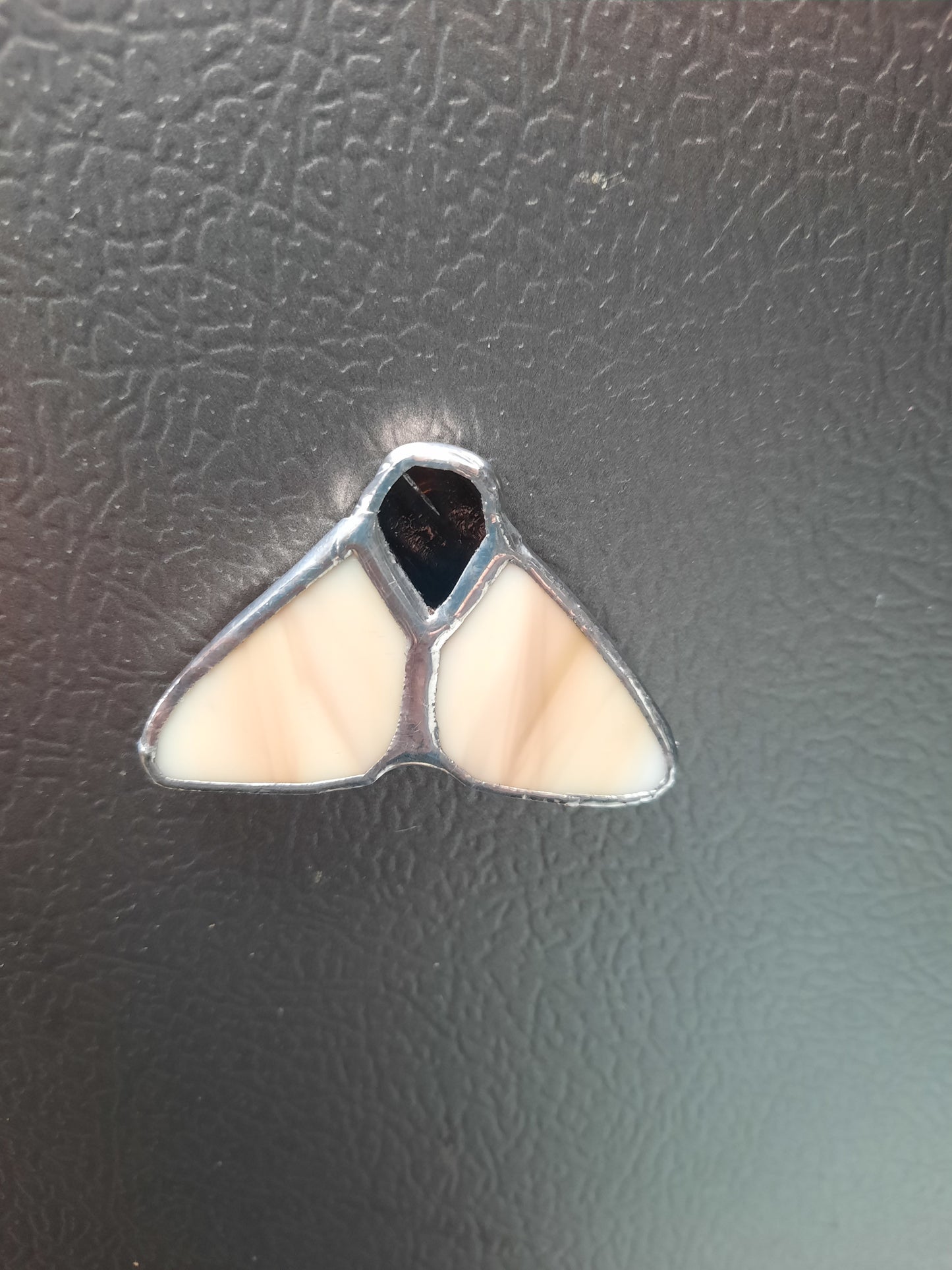 Moth Magnets